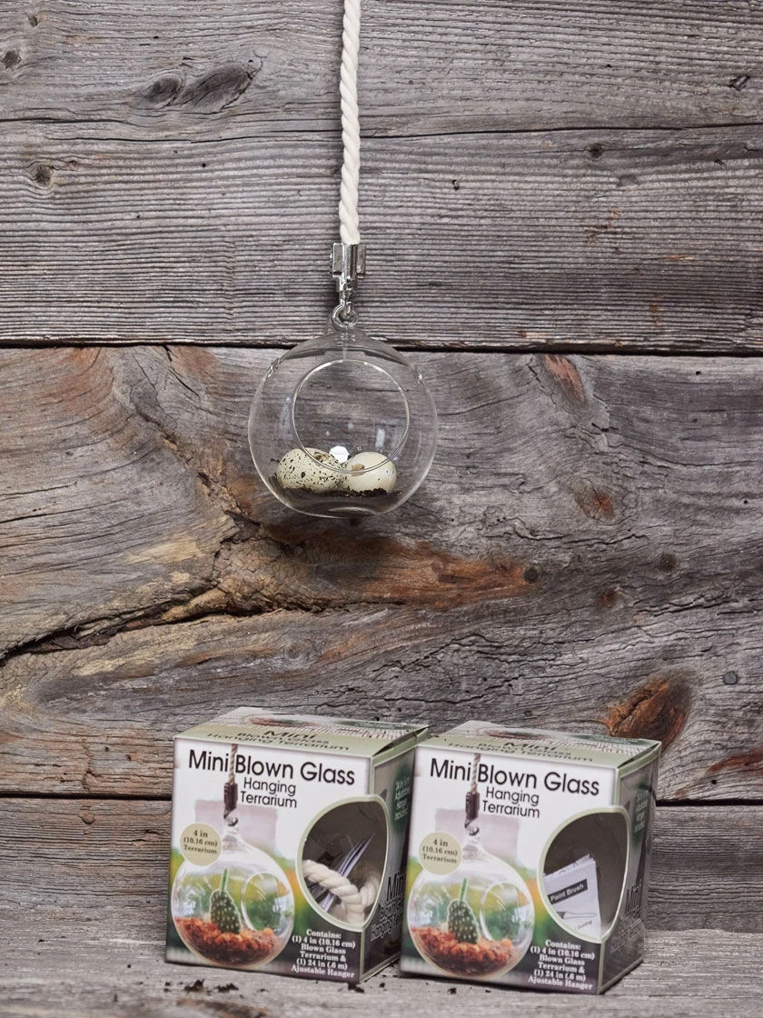 Mini Blown-Glass Hanging Terrarium, Set Of 2 5 Mini Blown-Glass Hanging Terrarium, Set Of 2 - Image 3