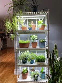 Oslo 4-Tier LED Grow Light Garden 23 Oslo 4-Tier LED Grow Light Garden -Garden Shop 8609220 03IN tif