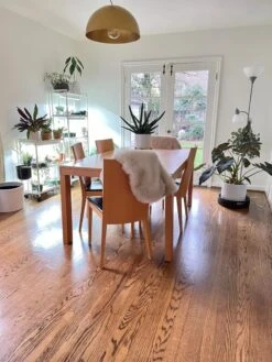 Oslo 2-Tier LED Grow Light Garden, 2 Fixtures 25 Oslo 2-Tier LED Grow Light Garden, 2 Fixtures -Garden Shop 8609221 01IN tif