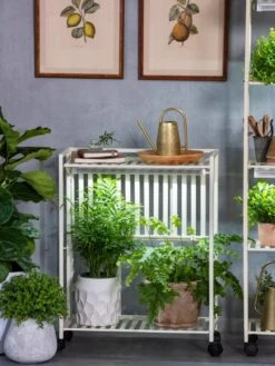 Oslo 2-Tier LED Grow Light Garden, 2 Fixtures 21 Oslo 2-Tier LED Grow Light Garden, 2 Fixtures -Garden Shop 8609221 7236 tif