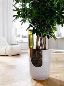 Hydro Wine Container Watering System, Set Of 4 13 Hydro Wine Container Watering System, Set Of 4 -Garden Shop 8609224 04V tif