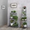 Modern Metal Plant Shelves 1 Modern Metal Plant Shelves -Garden Shop 8609229 7614 tif
