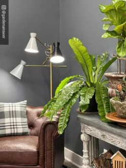 Adjustable 3-Arm Grow Lamp -Garden Shop 8609868 01IN tif