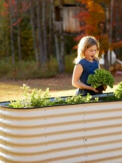 Birdies™ Modular Metal Raised Bed, Tall -Garden Shop 8610174 5015 tif