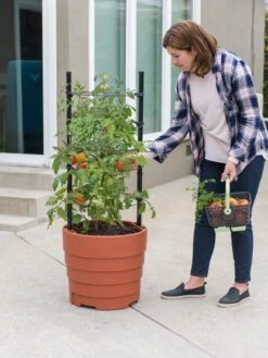 Gardener’s Victory Self-Watering Planter Garden Kit -Garden Shop 8610239 06002 tif