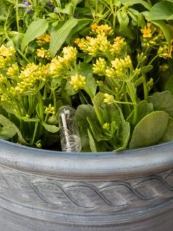 Adjustable Self-Watering Insert For Pots And Planters -Garden Shop 8610250 0010 tif