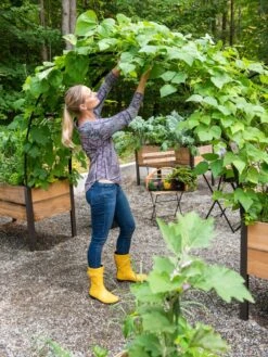 2’ X 8’ Arch Trellis For Planter Boxes 15 2’ X 8’ Arch Trellis For Planter Boxes -Garden Shop 8610798 050 tif