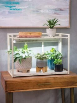 Garden Shop 40 Garden Shop -Garden Shop 8611002 2000 tif