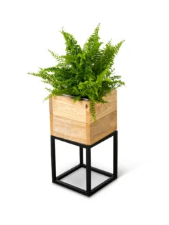 Tartu Elevated Square Planters -Garden Shop 8611004 038