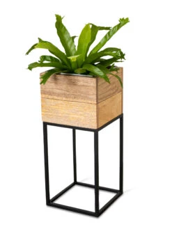Tartu Elevated Square Planters -Garden Shop 8611005 036