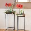 Square Nesting Plant Stands With Trays, Set Of 2 -Garden Shop 8611014 3660 tif
