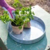 Galvanized Tray Round, 11" 1 Galvanized Tray Round, 11" -Garden Shop 8611075 031 galvanized tray round 11 inch