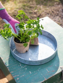 Garden Shop 22 Galvanized Tray Round, 11"