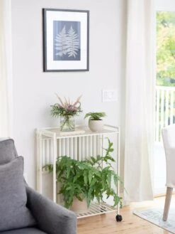 Garden Shop 38 Garden Shop -Garden Shop 8611766 0044 tif