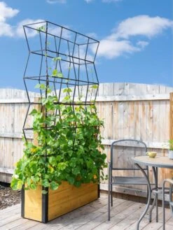Self-Watering Partition Planter -Garden Shop 8611952 4825 tif