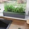 Provence Self-Watering Herb Planter -Garden Shop 8611965 01V tif