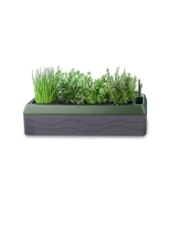 Provence Self-Watering Herb Planter -Garden Shop 8611965 03V tif