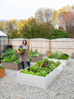 Somerset Metal Raised Beds, As Is -Garden Shop 8612020 0016 tif