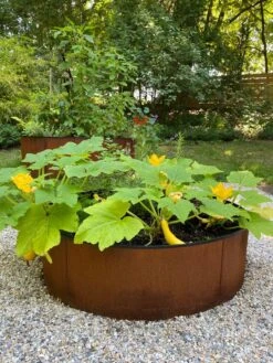 Birdies™ Corten Steel Round Raised Beds 11 Birdies™ Corten Steel Round Raised Beds -Garden Shop 8612422 0484 tif