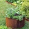 Birdies™ Corten Steel Round Raised Beds -Garden Shop 8612423 1537 tif