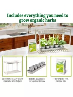 Tabletop Grow Kit -Garden Shop 8612507 6