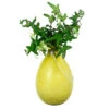 Achla Designs Teardrop Rooting Vase -Garden Shop 8612530ye 01v