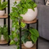Double Tower Plant Stand -Garden Shop 8612683 2228 double tower plant stand