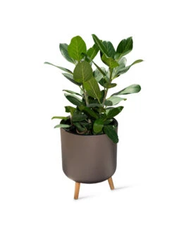 Ava Self-Watering Round Planter -Garden Shop 8612692 0003