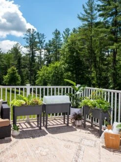 Self-Watering Standing Salad Planter With Cloche -Garden Shop 8612702 2002 tif