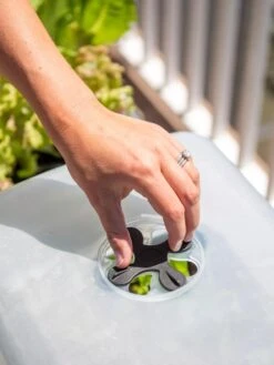 Self-Watering Standing Salad Planter With Cloche -Garden Shop 8612702 2034 tif