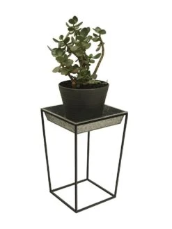 Achla Designs Arne Plant Stand 14 Achla Designs Arne Plant Stand -Garden Shop 8612899 03v