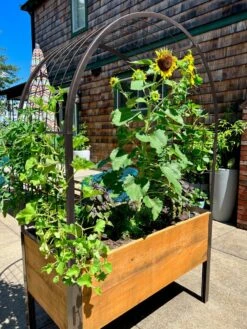 Elevated Planter Box, 2' X 4' -Garden Shop 8612976 11TEST tif