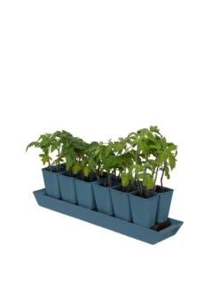 Gardener's Best® XL Seed Starting Kit -Garden Shop 8613066 0029