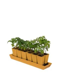 Gardener's Best® XL Seed Starting Kit -Garden Shop 8613066 1029