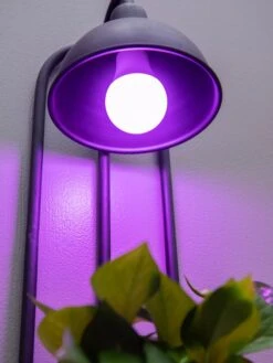 Kira Grow Light Hanging Planter 10 Kira Grow Light Hanging Planter -Garden Shop 8613232 5663