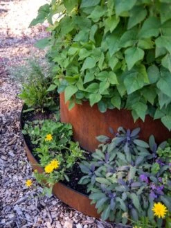 Birdies™ Corten Steel Tiered Round Raised Bed Kit, Tall -Garden Shop 8613245 0195