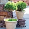Self-Watering LavaStone® Anson Pot 2 Self-Watering LavaStone® Anson Pot -Garden Shop 8613256 0124 self watering lavastone anson pot
