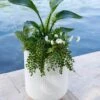 Arden Round Planter 1 Arden Round Planter -Garden Shop 8613267 0112 arden round planter