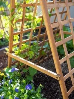 Bambo A Frame Plant Support, 30" X 42.5" -Garden Shop 8613310 6556