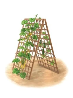 Bambo A Frame Plant Support, 30" X 42.5" -Garden Shop 8613310 art flat