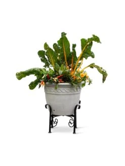 Covington Adjustable Plant Stands -Garden Shop 8613347 0119