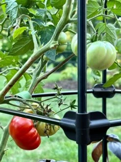 Oasis Self-Watering Tomato Planter With Trellis -Garden Shop 8613440 01TEST