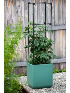 Oasis Self-Watering Tomato Planter With Trellis -Garden Shop 8613440 0373 3 4