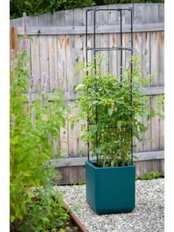 Oasis Self-Watering Tomato Planter With Trellis -Garden Shop 8613440 0376 3 4 1