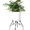 Aubrey Adjustable Plant Stand -Garden Shop 8613454 5716 aubrey adjustable plant stand