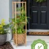 Elevated Bamboo Tomato Planter And Trellis -Garden Shop 8613502 13