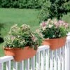 2' X 4' Railing Planter, 25" -Garden Shop GS34336 01 24 inch 2x6 railing planters