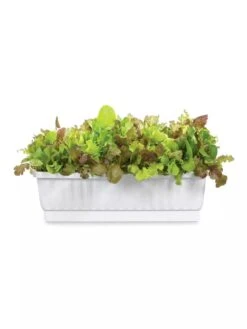 31" Self-Watering Window Box 7 31" Self-Watering Window Box -Garden Shop GS36523 01Z 3 4