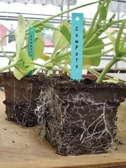 2-3/4" Square Cowpots 6-Packs, Set Of 4 -Garden Shop GS37034 05