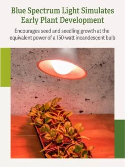 Miracle LED® Absolute Daylight™ Max Flowering Grow Light Bulb -Garden Shop Miracle Daylight Bulb 4